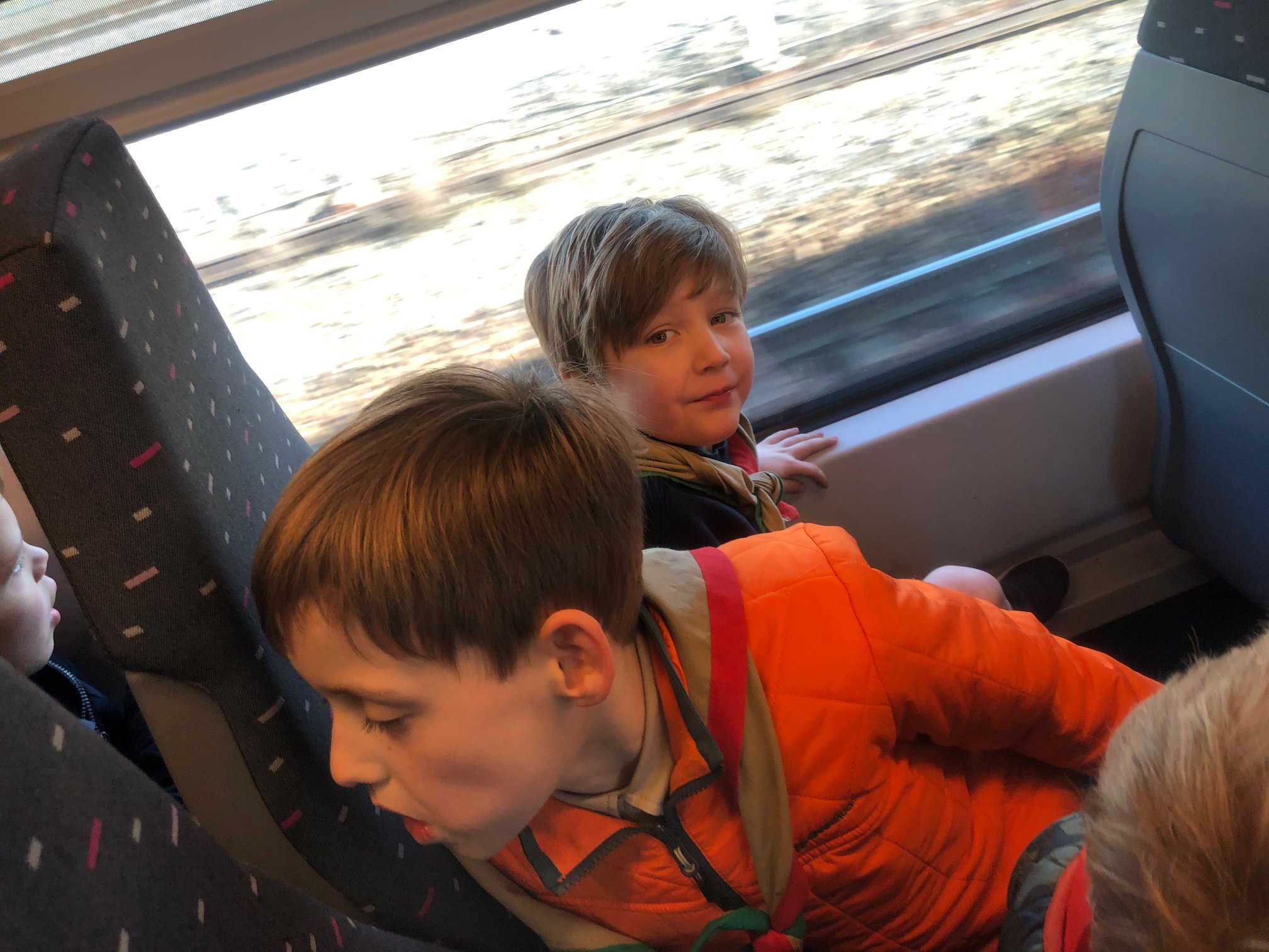 Sint-Martinus den XIIde - Zoo Antwerpen Kapoenen